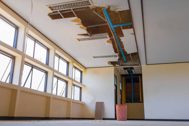 Best Flood restoration services  in Maunawili, HI