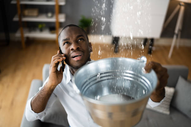 Carpet water damage restoration in Maunawili, HI