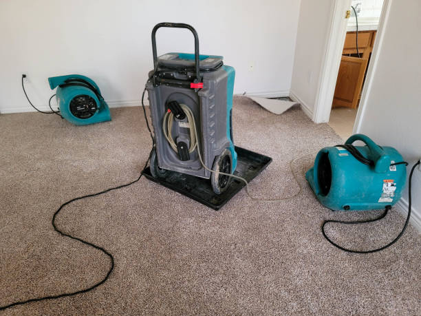 Best Water damage restoration services  in Maunawili, HI