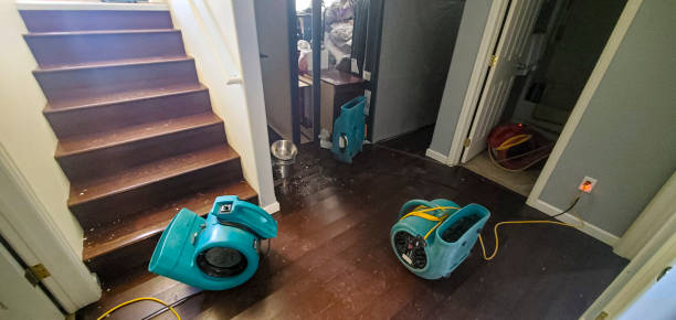 Best Residential water damage restoration  in Maunawili, HI