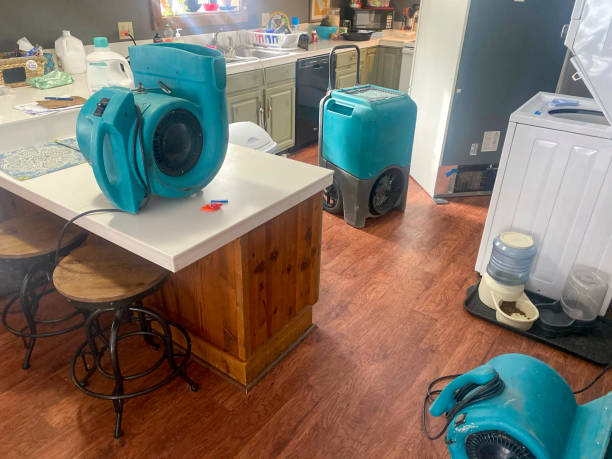 Best Water damage contractors near me  in Maunawili, HI