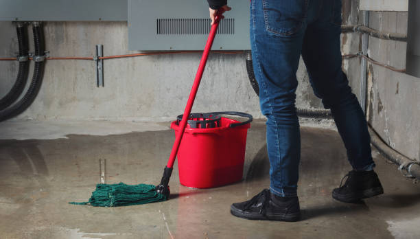 Best Carpet water damage restoration  in Maunawili, HI