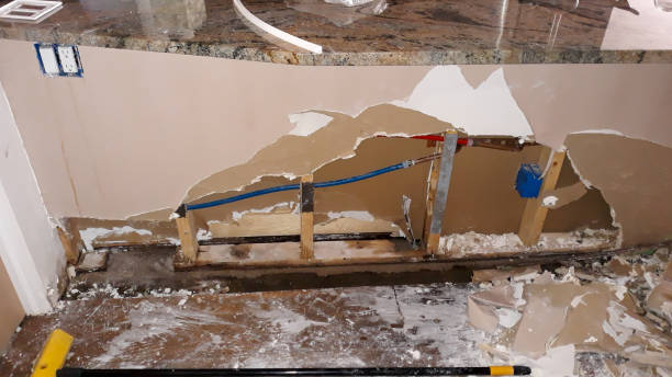 Best Flood damage cleanup  in Maunawili, HI