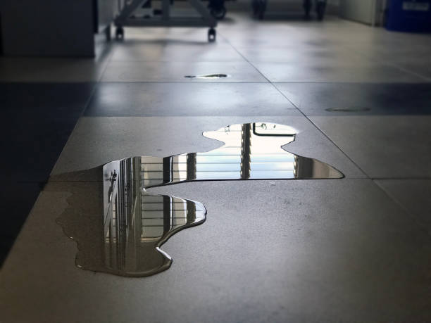 Best Professional water damage repair  in Maunawili, HI