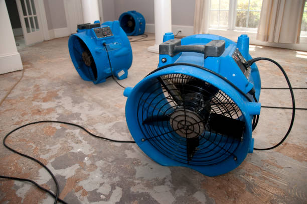 Professional Water damage restoration in Maunawili, HI