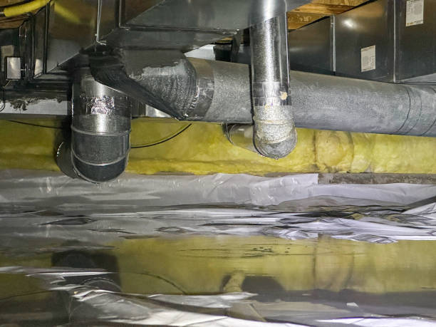 Best Water damage cleanup near me  in Maunawili, HI