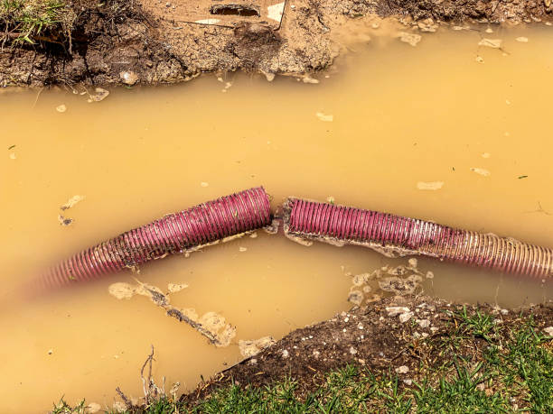Best Water damage restoration near me  in Maunawili, HI