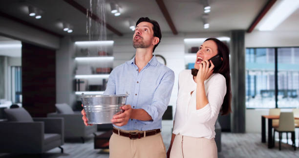 Best Professional water damage repair  in Maunawili, HI